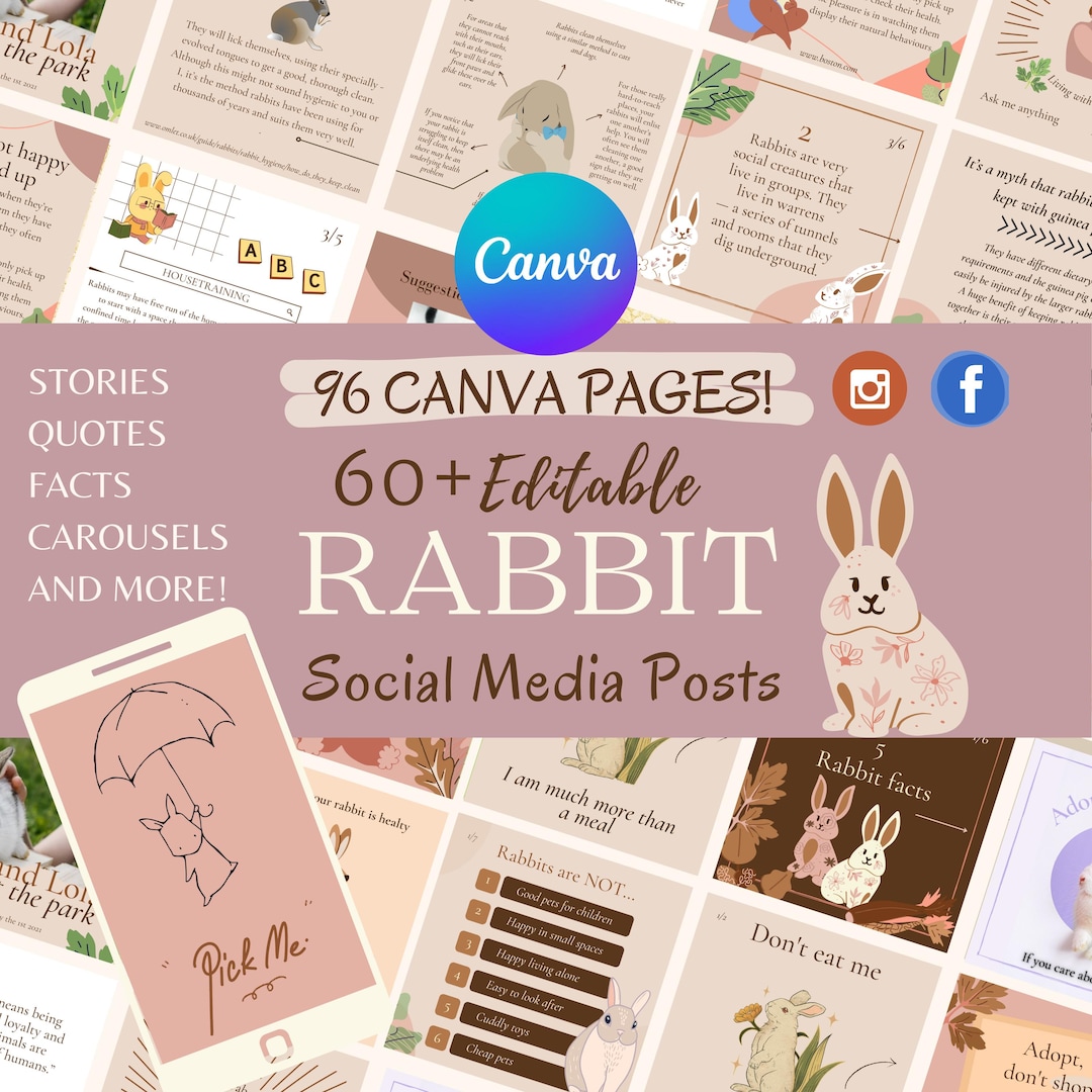 Rabbit Care Instagram Templates | 60+ Editable Canva Posts (digital ...