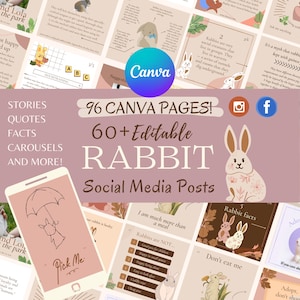 Educational Rabbit Care Instagram Templates | Save Time and Inform Your Audience  | 60+ editable posts - 96 Canva pages!