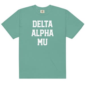 Camiseta Delta Alpha Mu de Comfort Colors, camisetas de hermandad, regalo para Delta Alpha Mu, camiseta Big Little Reveal, letra griega delta alpha mu