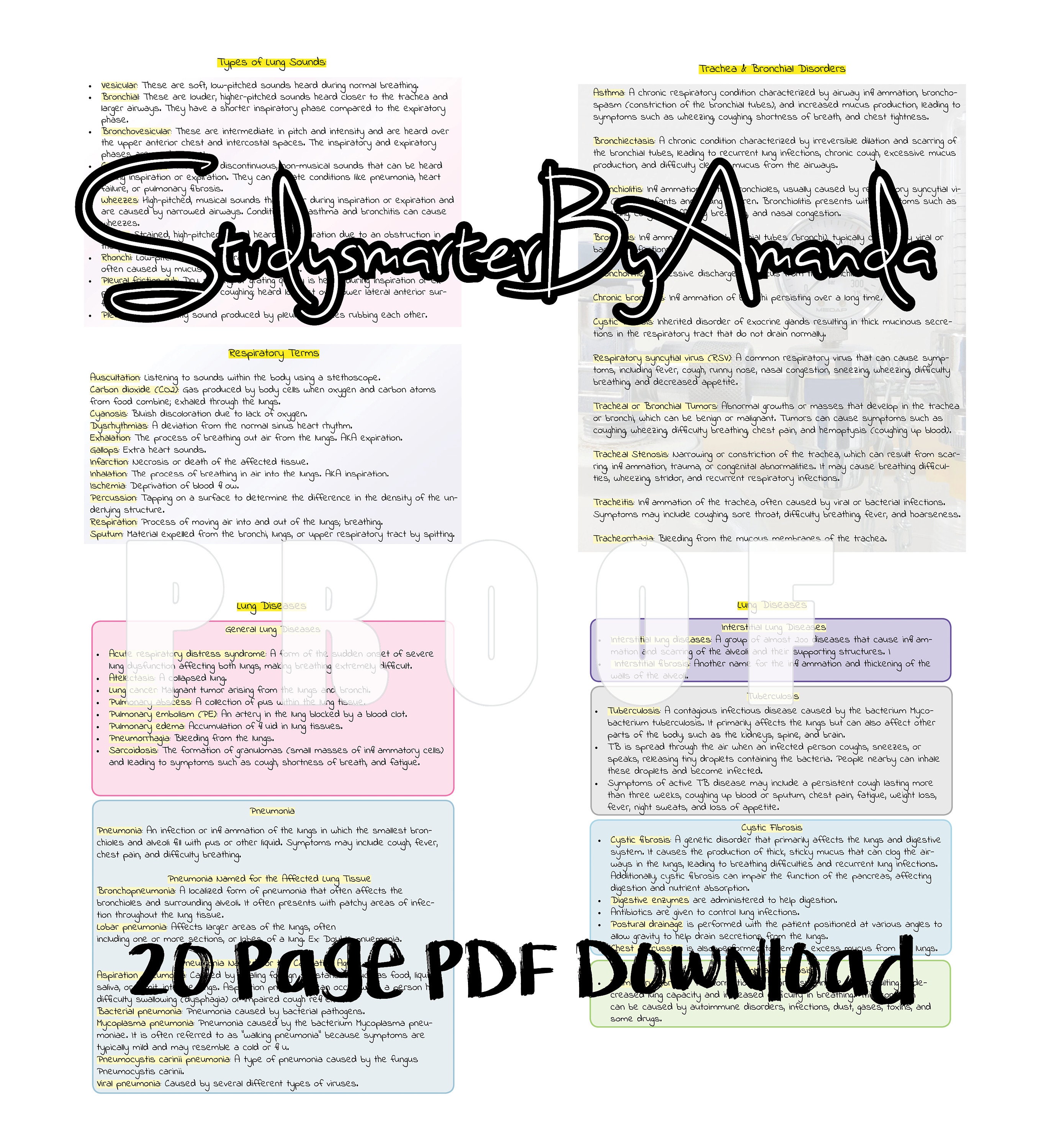 RESPIRATORY SYSTEM MEDICAL TERMINOLOGY FOR HEALTHCARE PROFESSIONS visual data 7