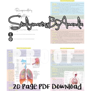 Respiratory System Medical Terminology