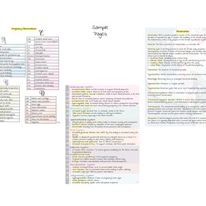 Puede incluir: Un papel blanco con notas manuscritas sobre el embarazo, que incluye listas de términos y definiciones. El texto está organizado en secciones etiquetadas con letras y títulos como "Mediciones del embarazo" y "Sistema cardiovascular".