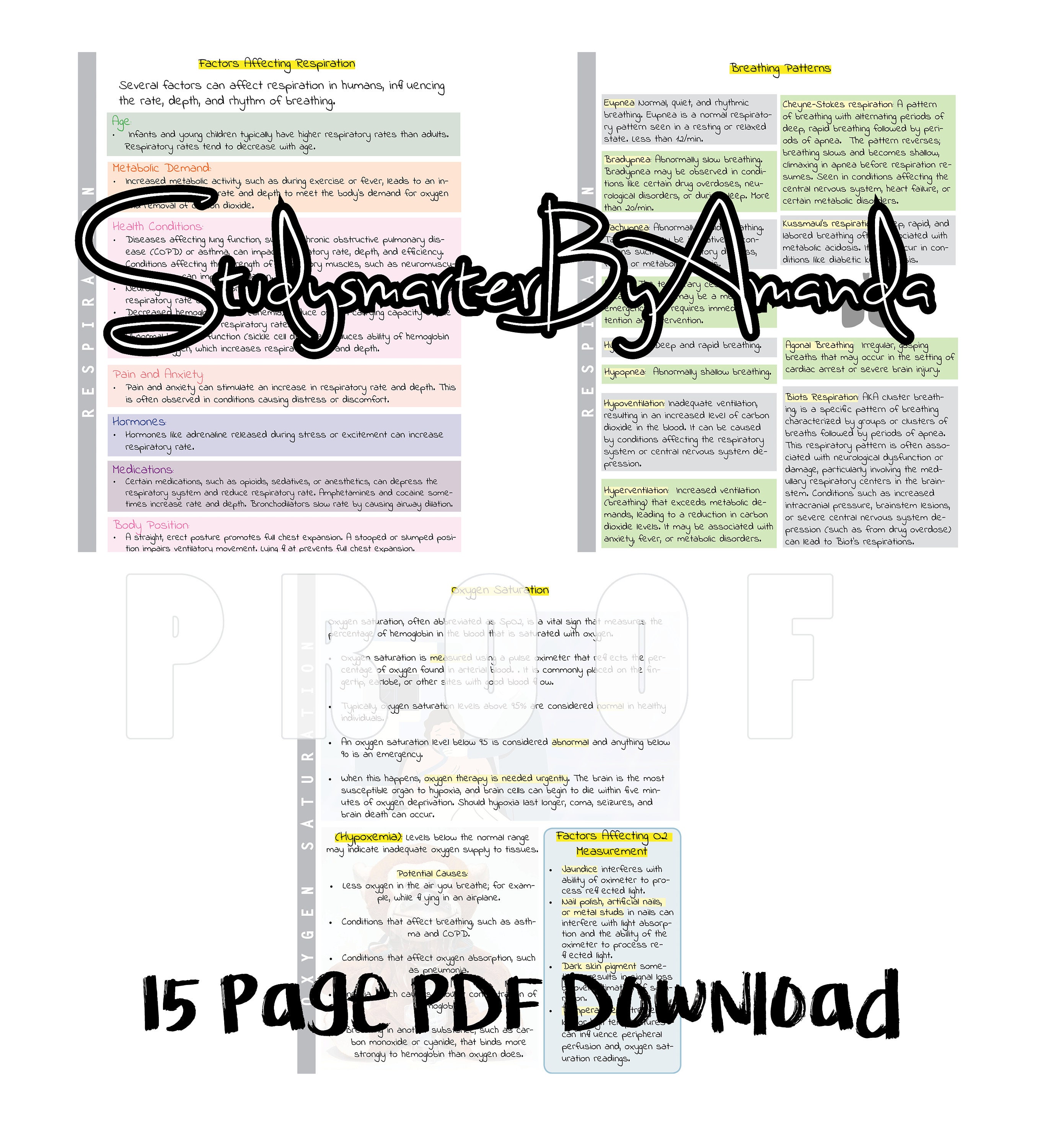 Vital Signs Nursing Notes - Etsy