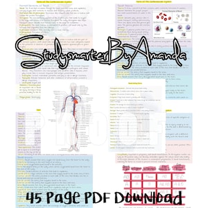 Cardiovascular Circulatory System Medical Terminology Study Guide