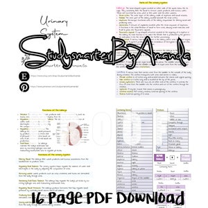 Könnte beinhalten: Ein farbiges Diagramm des menschlichen Harnsystems mit Beschriftungen für die Nieren, die Harnleiter, die Blase und die Harnröhre. Das Diagramm enthält eine Tabelle mit den Funktionen der Nieren und eine Tabelle mit den zusammengesetzten Formen und Suffixen des Harnsystems.