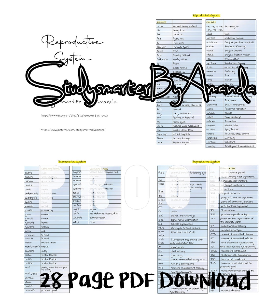 Reproductive System Medical Terminology - Etsy