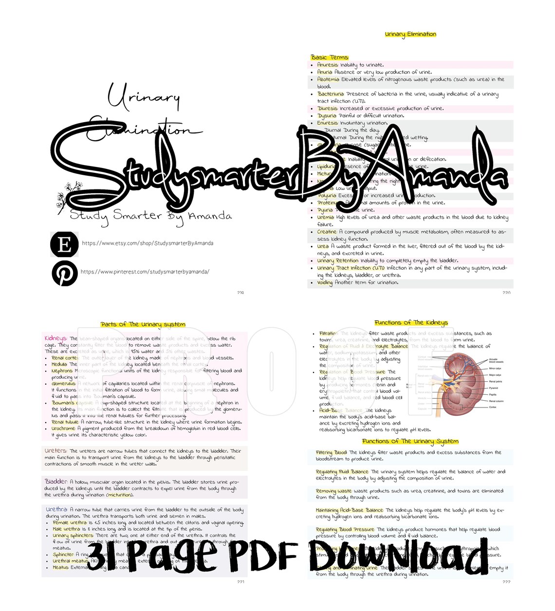 Urinary Elimination Study Guide - Etsy
