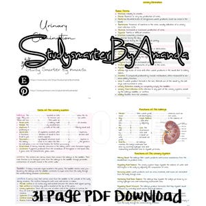 Könnte beinhalten: Ein Diagramm des menschlichen Harnsystems mit Beschriftungen für die Nieren, die Harnleiter, die Blase und die Harnröhre. Das Diagramm zeigt den Fluss des Urins von den Nieren zur Blase und dann aus dem Körper durch die Harnröhre. Der Text auf der Seite enthält Informationen über die Funktionen der Nieren und des Harnsystems. Der Text enthält auch eine Liste von Grundbegriffen im Zusammenhang mit der Harnausscheidung.