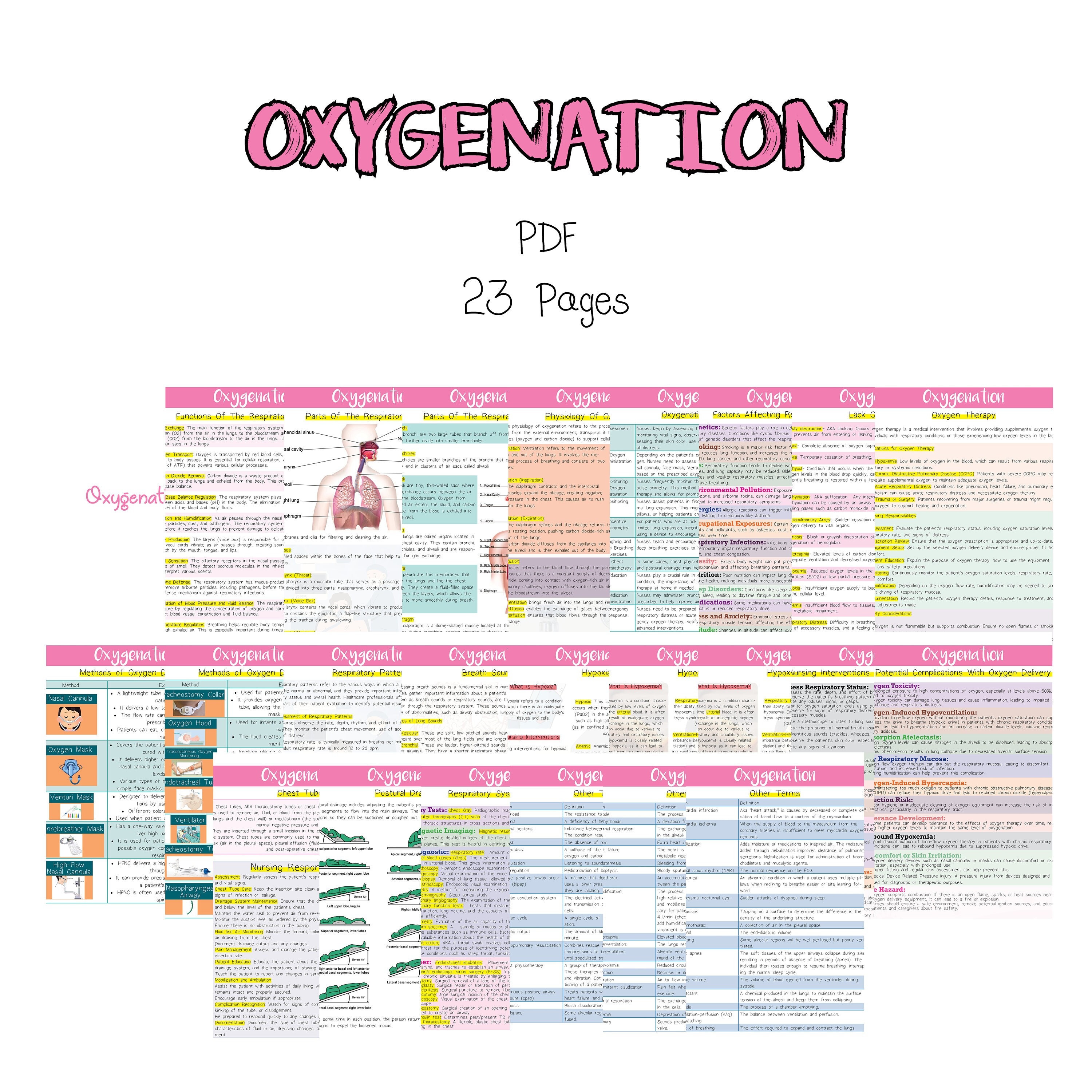 Oxygenation Nursing Study Guide Etsy Oxygenation Nursing Study Guide Etsy