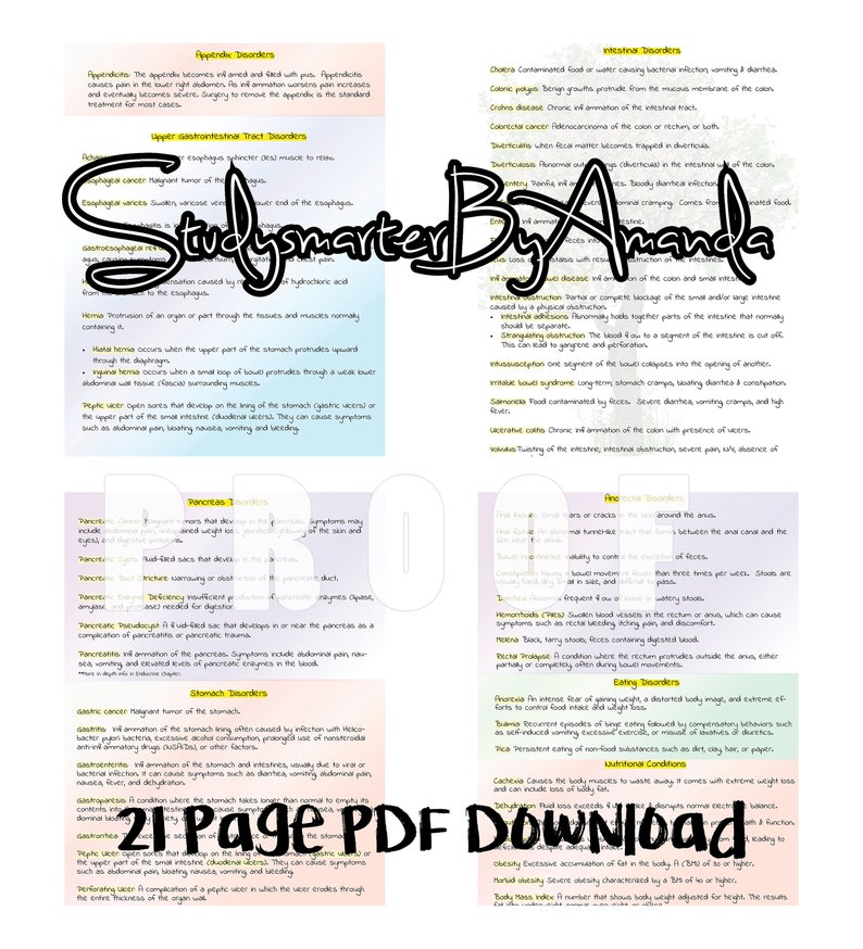 Digestive System Medical Terminology - Etsy