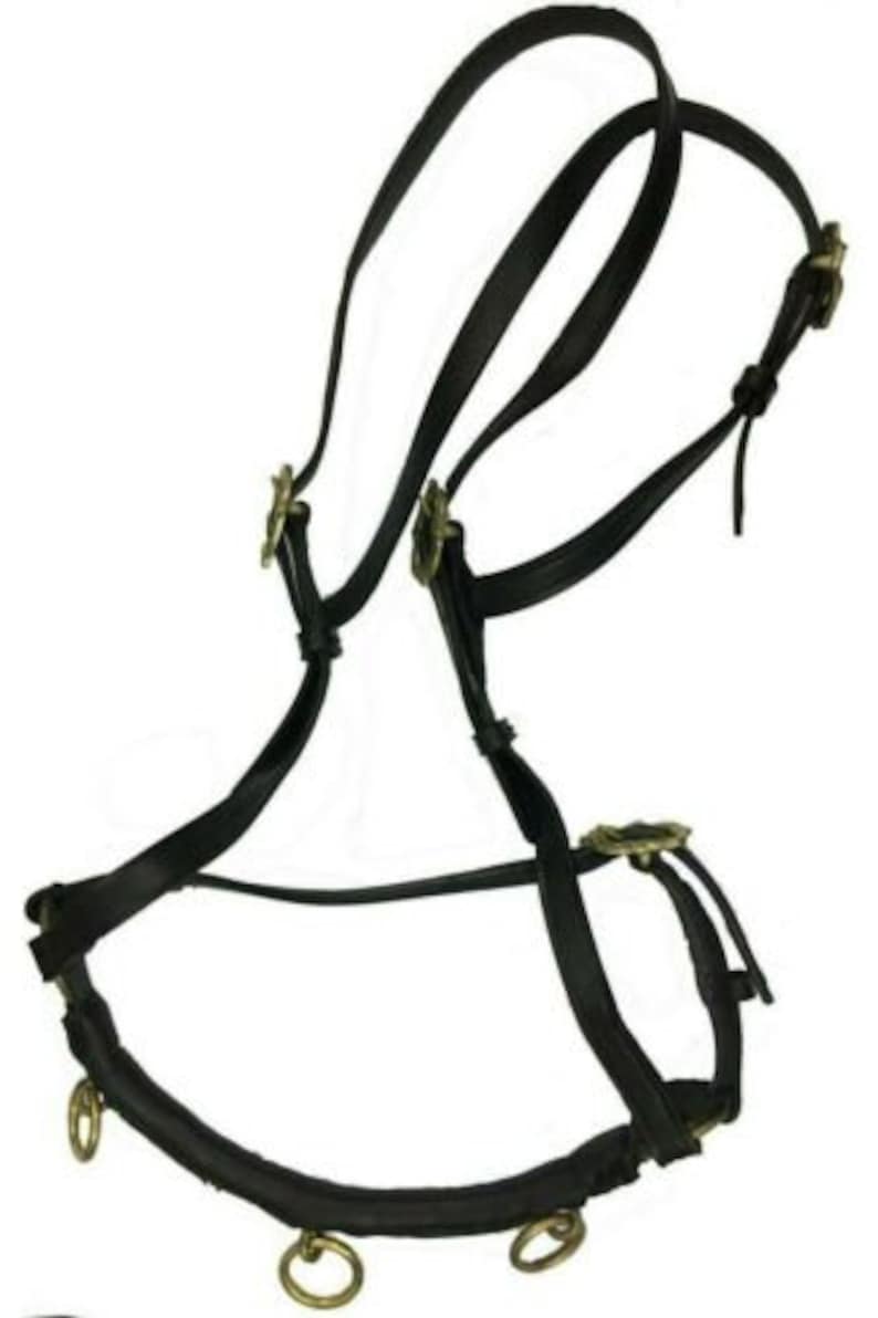 Cavesson Noseband Leather Lunge Caveson Headcollar Brown for Etsy