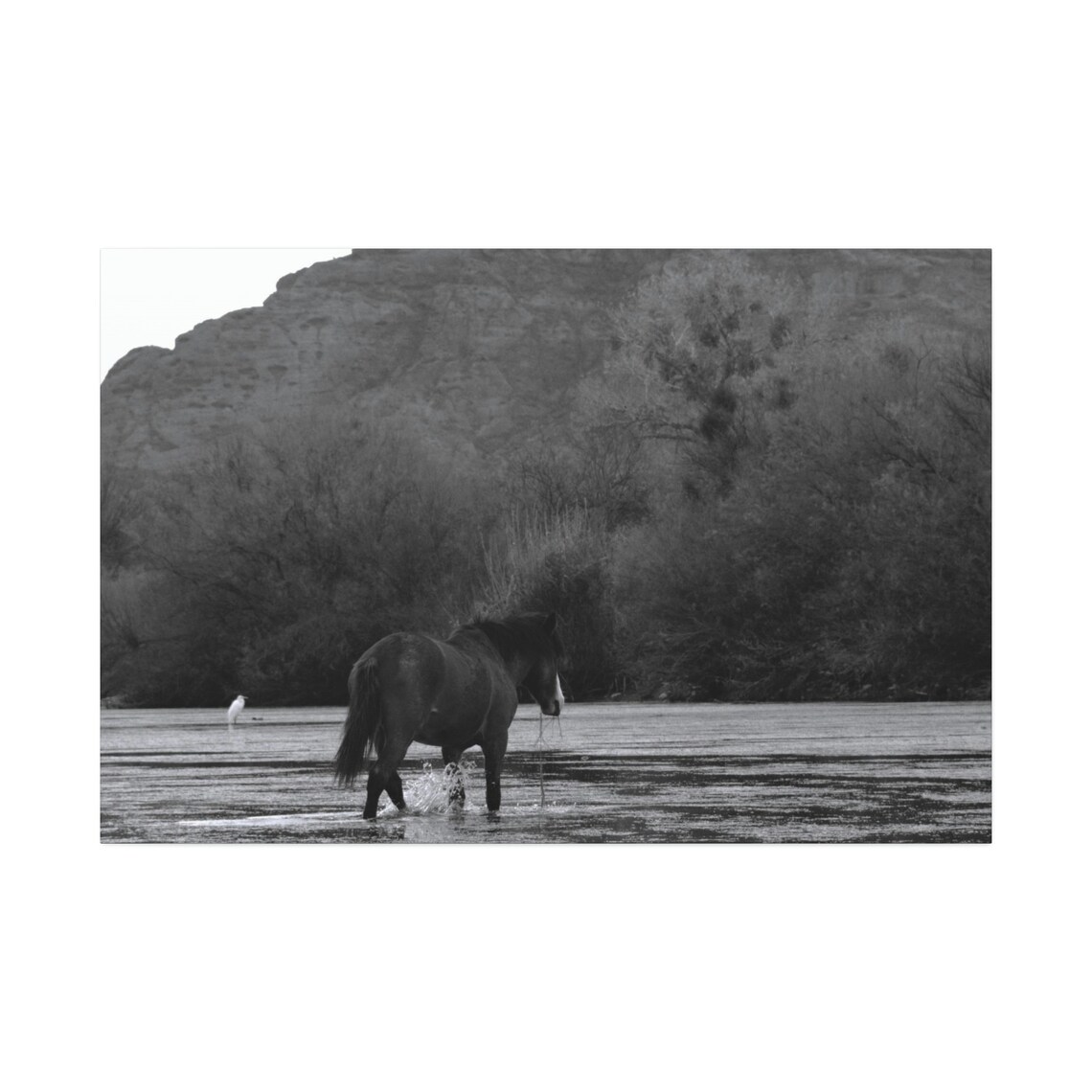 Black and White Wild Horse Print Mountain Scenery Art River Etsy