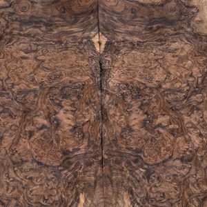 Walnut Burl veneer, 10 pieces, Wood lover gift, Christmas Gift