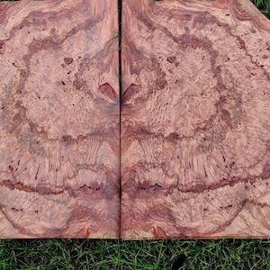 Wood Veneer, Rosewood Burl, 7 pieces, Wood lover gift, Christmas Gift