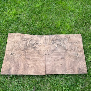 Walnut Burl veneer, 11 pieces, Wood lover gift, Christmas Gift