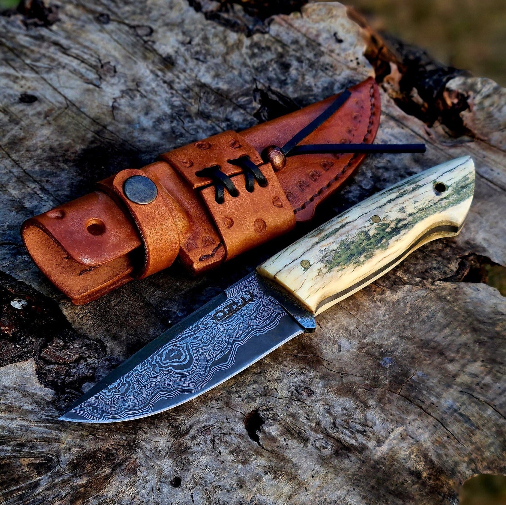 Caveman Style Serbian 2.0 Knife (Limited Edition)Hand forgend San Mai Steel  7in, with Hunter Holster & Mini Sharpening Stone. – The Cavemanstyle