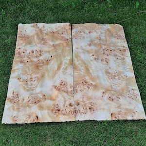 Holzfurnier, geflammte Pappel Maser, Kingsize, 16 Teile Weihnachtsgeschenk