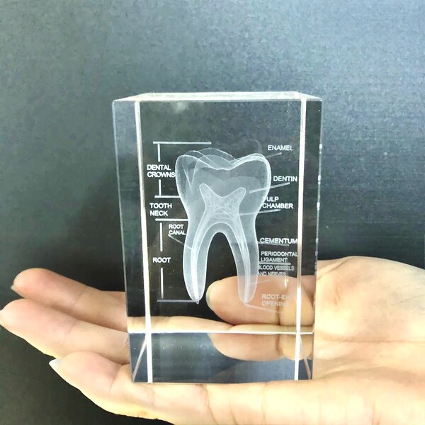 Crystal Paperweight Etsy