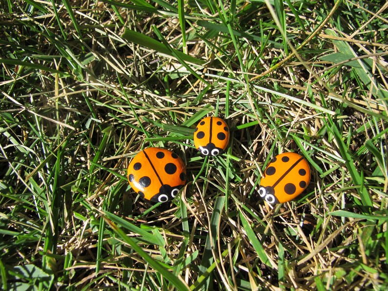 Set of 3 Ladybug Rocks-painted Rocks-pet Rocks-fairy Garden-small Gift ...