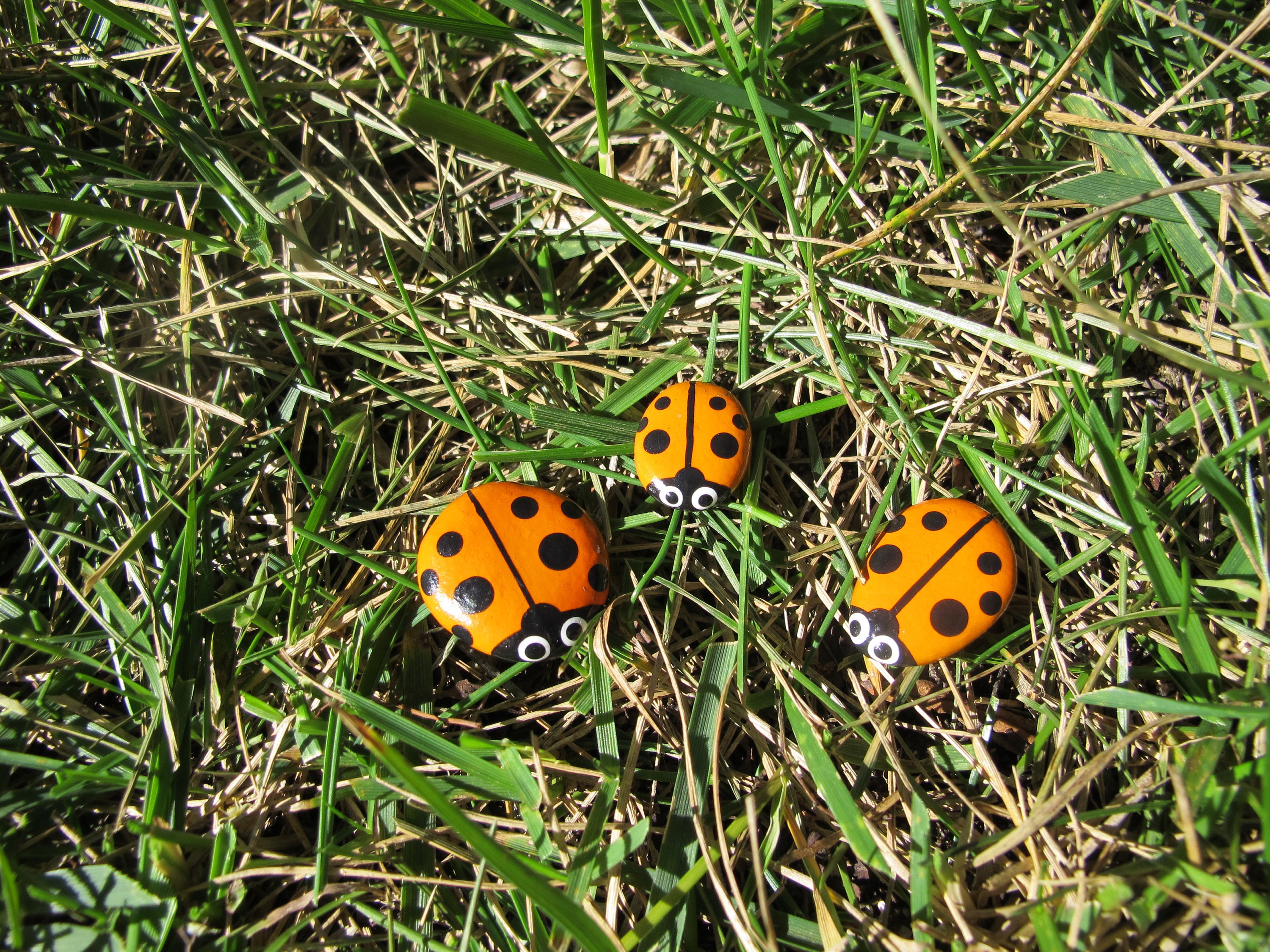 Set of 3 Ladybug Rocks-painted Rocks-pet Rocks-fairy Garden-small Gift ...