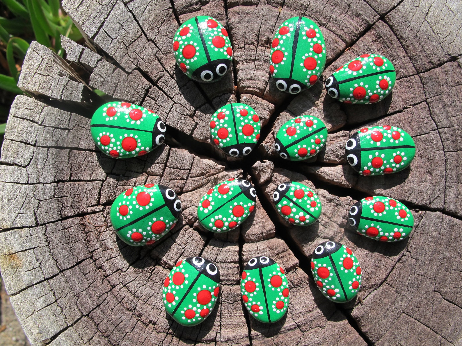 Set of 3 Ladybug Rocks-painted Rocks-pet Rocks-fairy - Etsy
