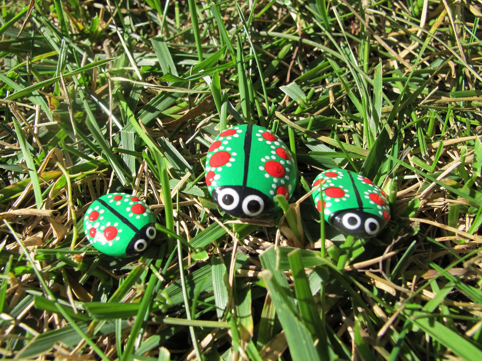 Set of 3 Ladybug Rocks-painted Rocks-pet Rocks-fairy - Etsy