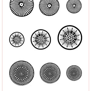 May include: Black and white diatom coin clayprint pattern. The pattern is a detailed, intricate design of circles and lines. The pattern is repeated in different sizes. The text "Clayprint Pattern™ Rolling Mill Resources" and "Diatom Coins MC G919 MC 4" x 5" / 102mm x 127mm" is at the bottom of the image.
