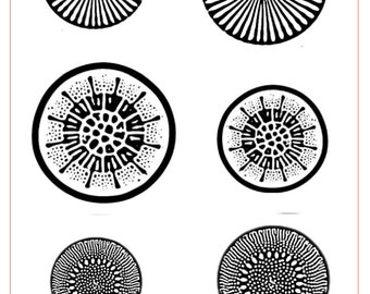 Clayprint ™ Texture for Metal Clay, PMC, Art Clay, Polymer Clay "Diatoms" by Rolling Mill Resources 3" x 4"(Laser Engraved Paper)