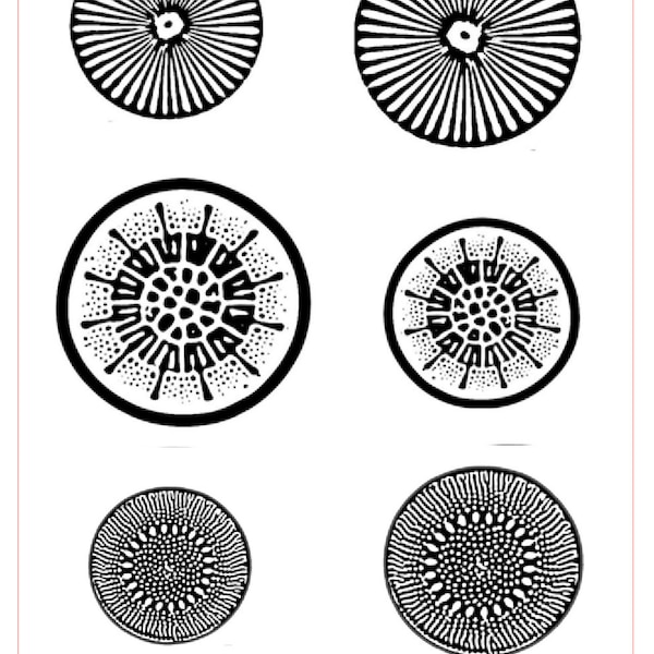 Clayprint ™ Texture for Metal Clay, PMC, Art Clay, Polymer Clay "Diatoms" by Rolling Mill Resources 3" x 4"(Laser Engraved Paper)