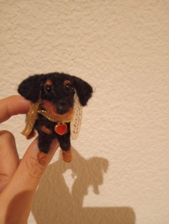 Dachshund, Needlefelting,pet, Pet, Hund, Chien, Dackel, Dachshund