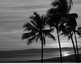 Digital Download | Beautiful Sunset with Palm Trees in Hawaii | Printable Downloadable Photograph