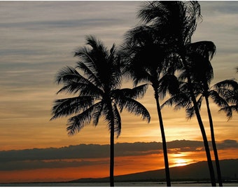 Digital Download | Beautiful Sunset with Palm Trees in Hawaii | Printable Downloadable Photograph