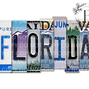 Florida PNG, Nummernschild, T-Shirt-Design, Sublimation, DTF, Siebdruck, digitaler Download, Florida Nummernschild-Buchstaben