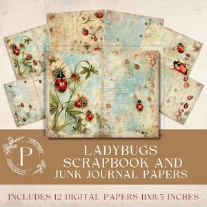 Coccinelle Junk Journal Papers, file JPG, download digitale