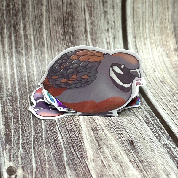 Small King Button Quail King Pearl Sticker