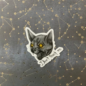 Don’t Touch Me Hissing Cat Clear Vinyl Sticker