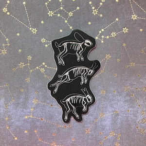 Dead Bunny Skeletons Vinyl Sticker
