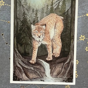 The High Priestess Tarot Card Mini Art Print Vinyl Sticker