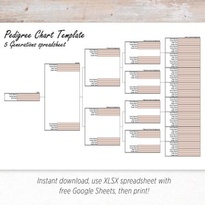 Ancestor Details Pedigree Chart - 5 Generations - Digital, printable XLSX spreadsheet family tree template