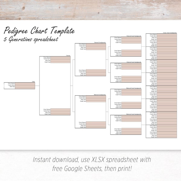 Ancestor Details Pedigree Chart - 5 Generations - Digital, printable XLSX spreadsheet family tree template