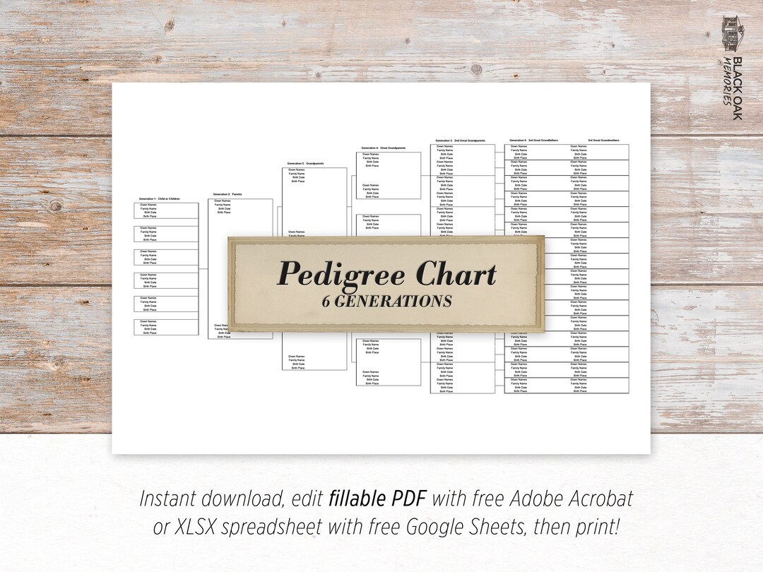 Family Tree Pedigree Chart - 6 Generations - Digital, Printable ...