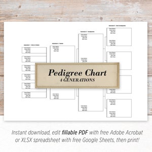 Family Tree Pedigree Chart - 4 Generations - Digital, printable fillable PDF and XLSX spreadsheet family tree template