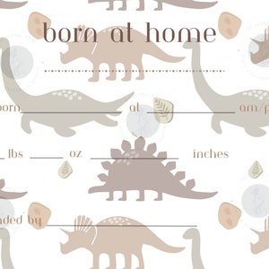 Certificado de nacimiento en casa / Estadísticas de nacimiento imprimibles / Boho Dino's