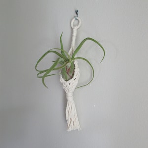 May include: A handmade macrame plant hanger in cream color, holding a green air plant with long, slender leaves. The hanger is suspended against a light gray wall, showcasing a bohemian style.