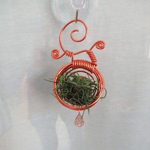 May include: A copper-colored wire plant holder with a circular base and decorative swirls. The holder contains a small air plant with green foliage. A teardrop-shaped charm hangs below the circular base. The holder is attached to a suction cup.