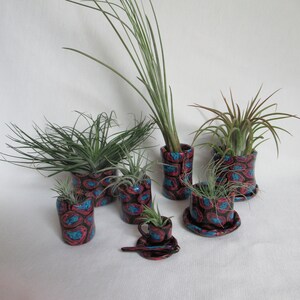 May include: A collection of ceramic air plant holders with a paisley design in red, blue, and black. The holders vary in size and shape, including a miniature teacup set. Each holder contains a different variety of air plant.