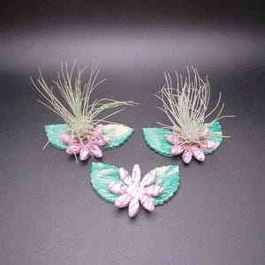 May include: Three air plant holders with a botanical theme. Each holder features a green leaf-shaped base with a pink and white flower and a small air plant. The air plants have long, thin, light green leaves. The background is black.