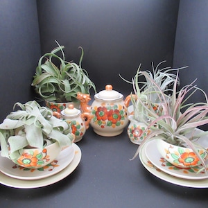 May include: A vintage tea set with floral designs in orange, red, and green. The set includes a teapot, sugar bowl, creamer, cups, and saucers. Air plants are arranged in the cups and bowls, creating a unique display.