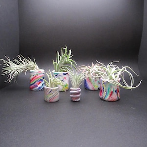 May include: A collection of small, colorful air plant holders. Each holder is a unique design with a marbled effect of red, blue, green, and white. The air plants have long, slender green and silver leaves, creating a striking contrast.