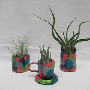 May include: Three ceramic air plant holders with colorful, abstract designs. The holders are in the shape of a small cup and saucer, and two cylindrical pots. Each contains a different variety of air plant with green, spiky leaves.